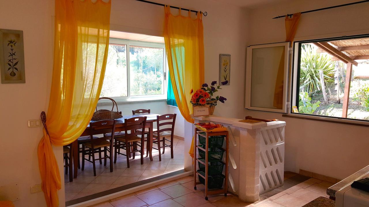 Residence Oasis Campiglia Marittima Exterior photo